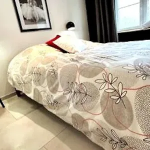Le Campagnard & Le Maryline # Wifi # Clim # Parking Gratuit # Calme & Nature Appartement Marboz